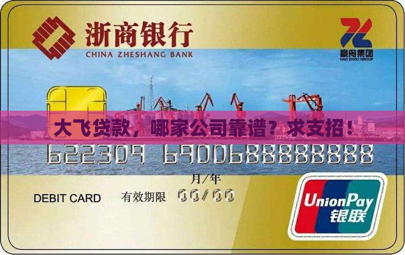 大飞贷款哪的公司