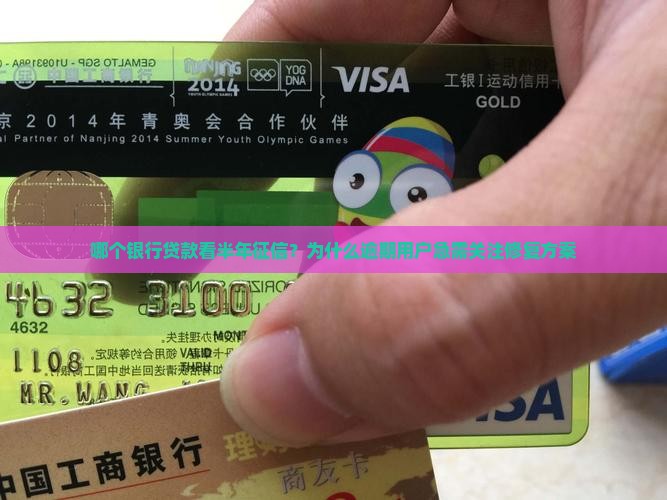 哪个银行贷款看半年征信 哪个银行贷款看半年征信