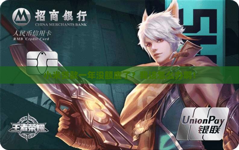 小米贷款一年没有额度了 小米贷款一年没有额度了