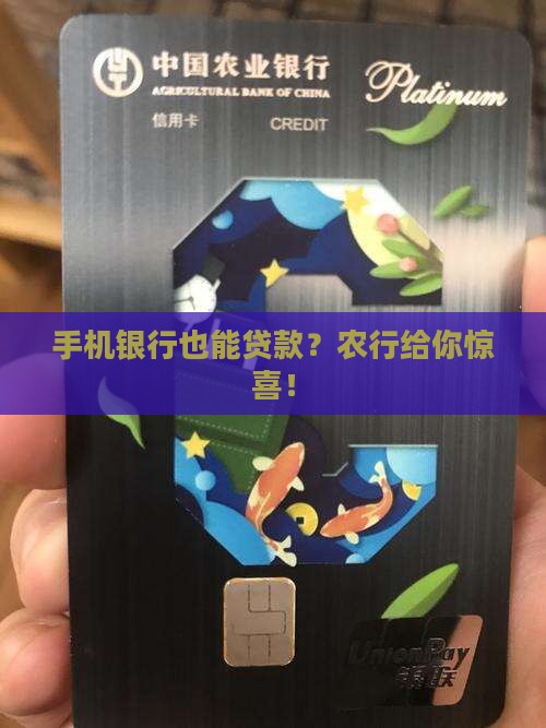 农行手机上贷款