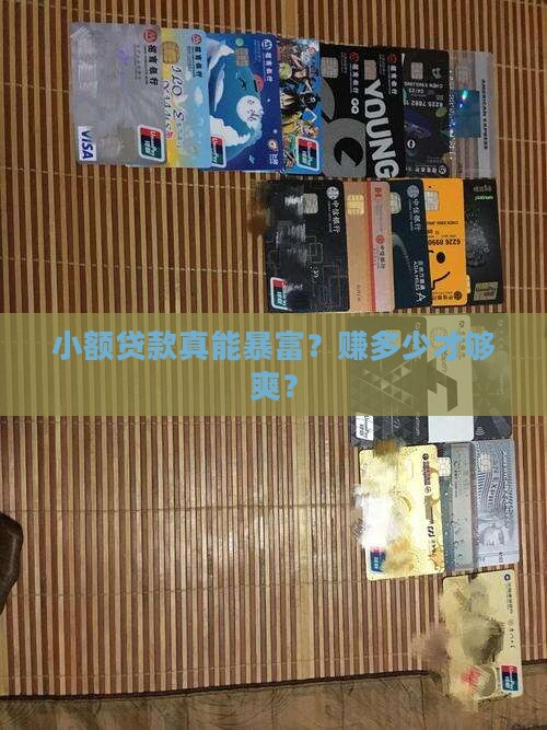 开小额贷款赚多少钱