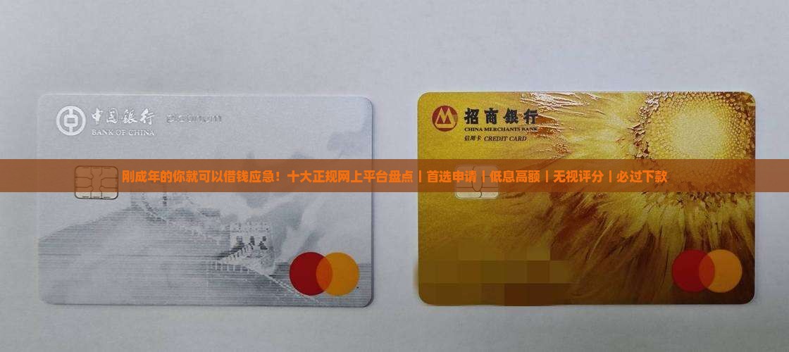 刚成年的小额贷款