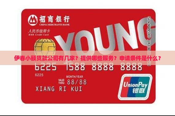 伊春小额贷款有几家