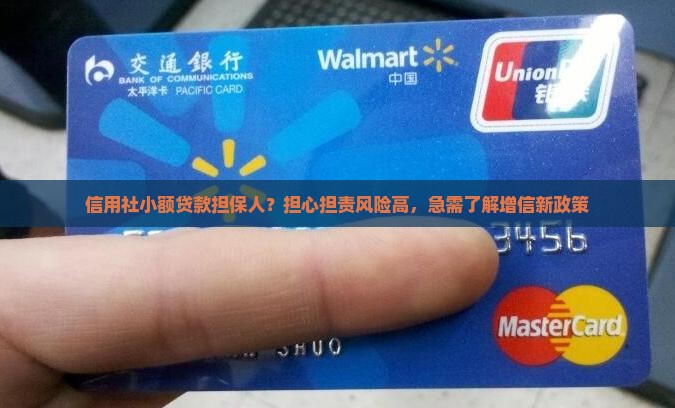 信用社小额贷款担保人