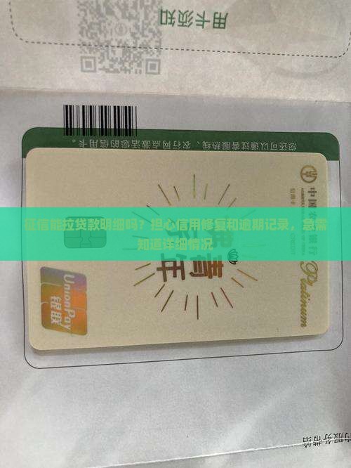 征信能拉贷款明细吗