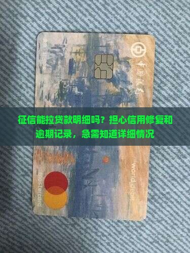 征信能拉贷款明细吗