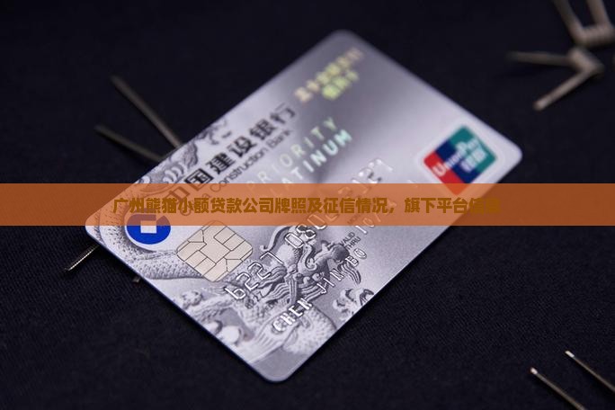 广州熊猫小额贷款