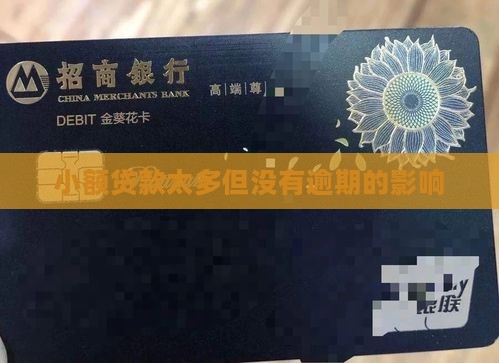 小额贷款太多没逾期