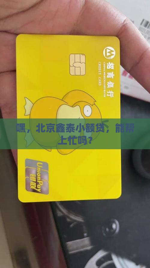 北京鑫泰小额贷款分公司