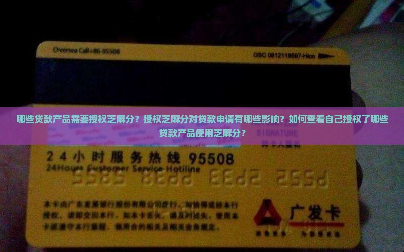 哪些贷款是授权芝麻分