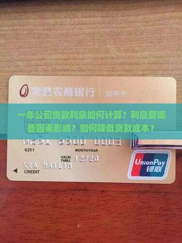 一年公司可以贷款利息