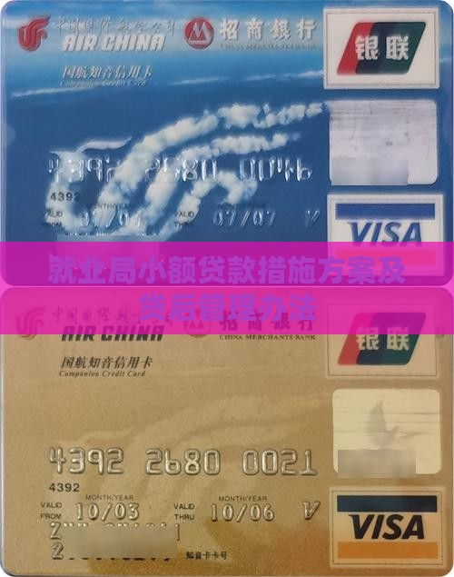 就业局小额贷款措施