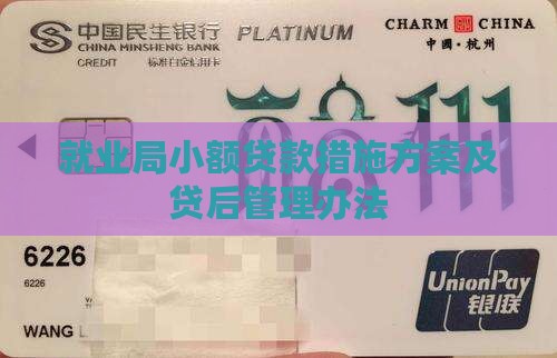 就业局小额贷款措施