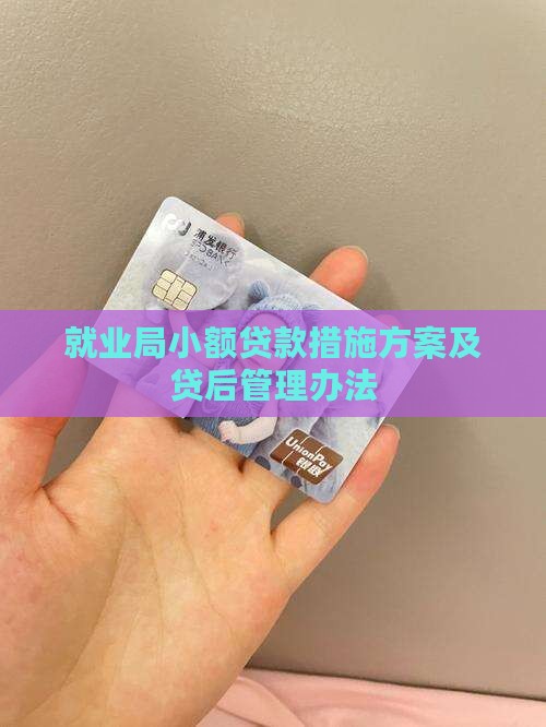 就业局小额贷款措施