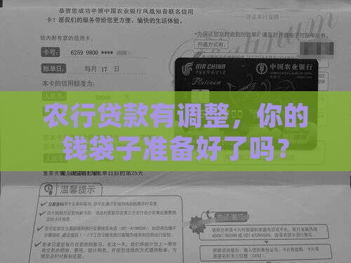 农业银行调整贷款金 农业银行调整贷款金