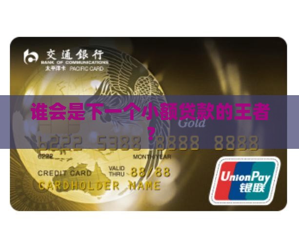 小额贷款龙头