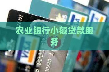 农业银行网银小额贷款