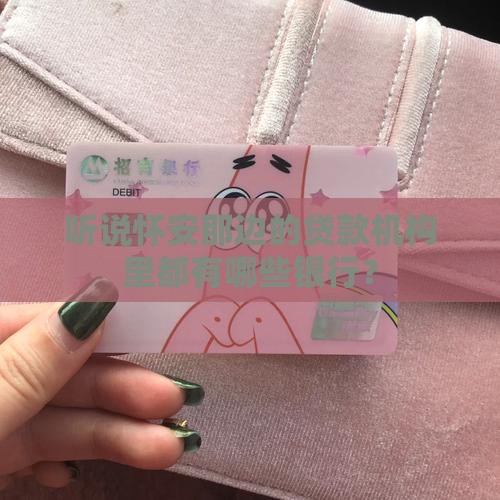 怀安贷款机构有哪些银行