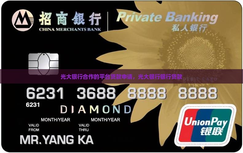 与光大银行合作的贷款平台