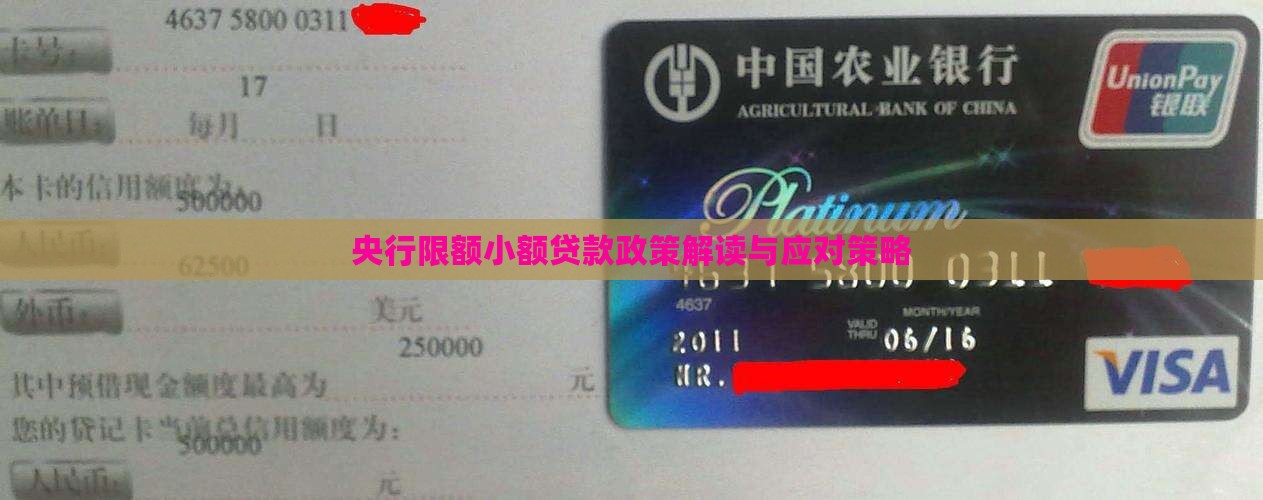 央行限额小额贷款