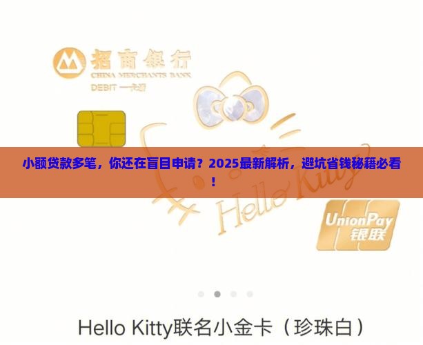小额贷款多笔