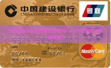 仪陇复兴小额贷款