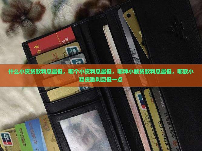 什么小贷贷款利息最低