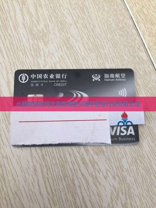 小额贷款机构北京有哪些