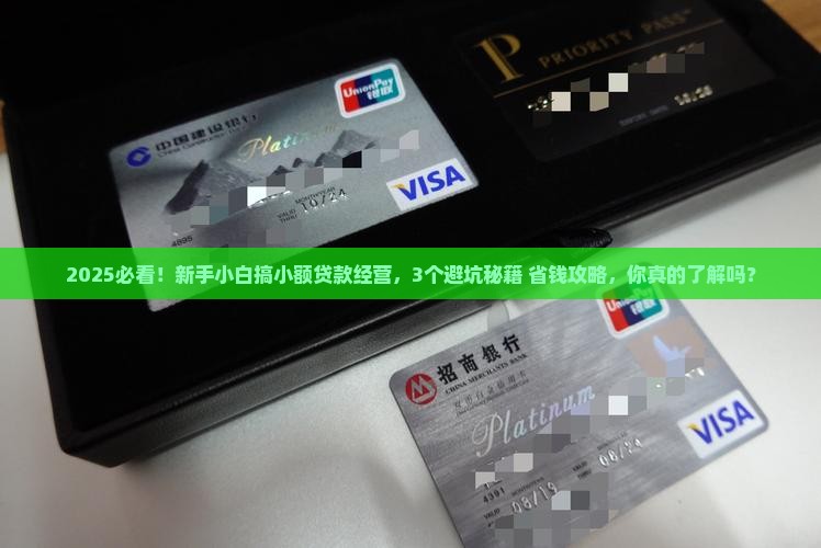 小额贷款经营