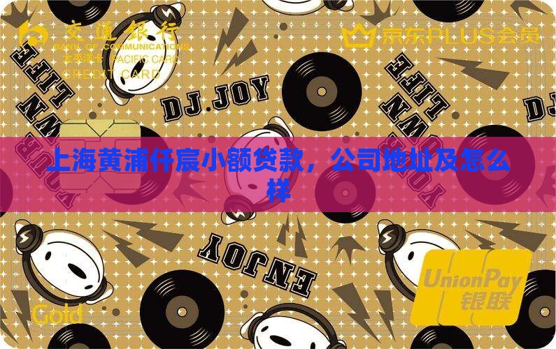 上海黄浦仟宸小额贷款