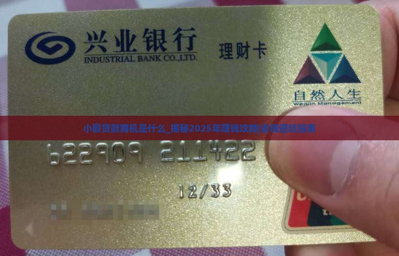 小额贷款商机是什么
