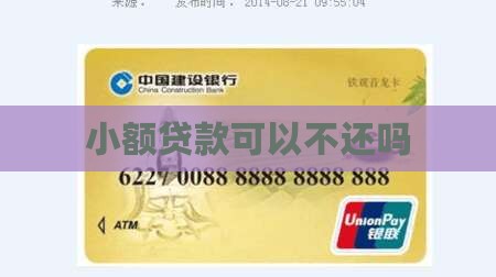 小额贷款借了可以不换吗