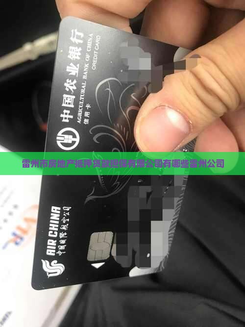 雷州房产抵押贷款公司有哪些