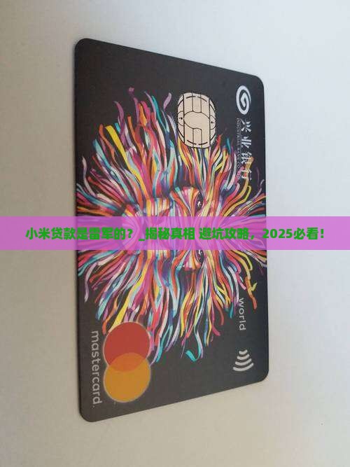 小米贷款是雷军的