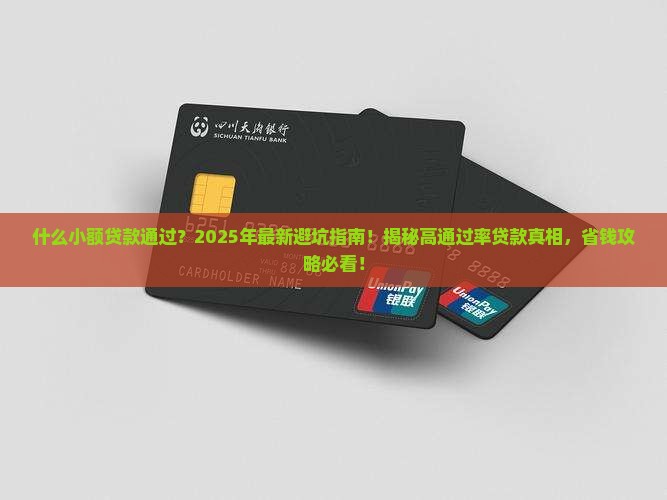 什么小额贷款通过