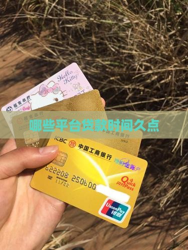 哪个平台贷款时间久点