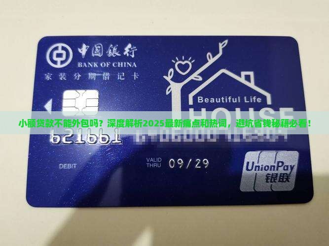 小额贷款不能外包吗
