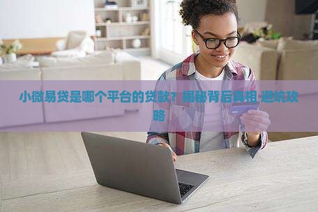 小微易贷是什么平台的贷款