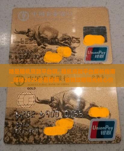 啥是租机贷款平台啊