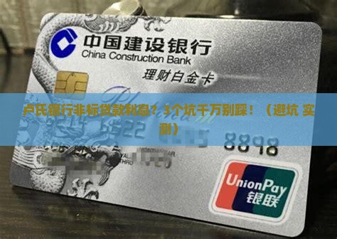 卢氏银行非标贷款利息