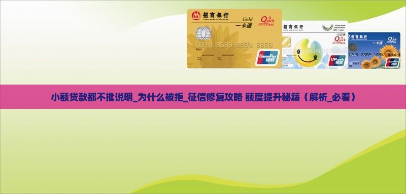 小额贷款都不批说明