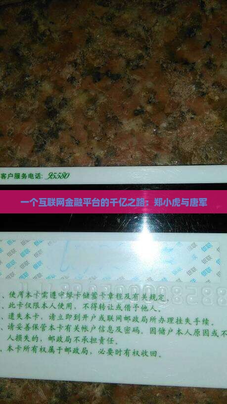 团贷网贷款郑小虎