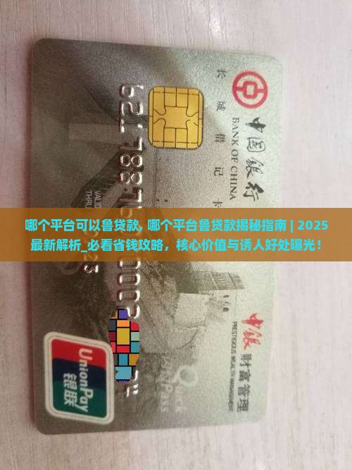 哪个平台可以鲁贷款