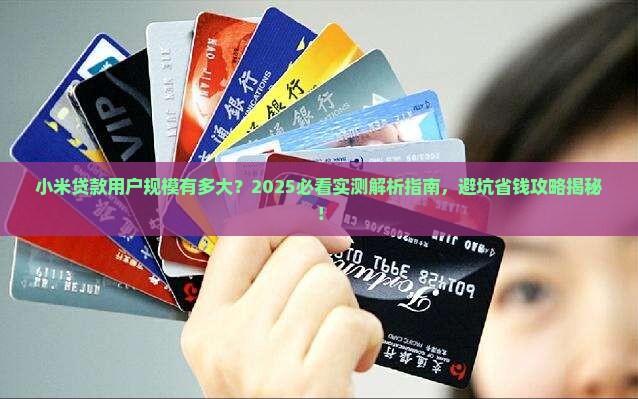 小米贷款多少人在用