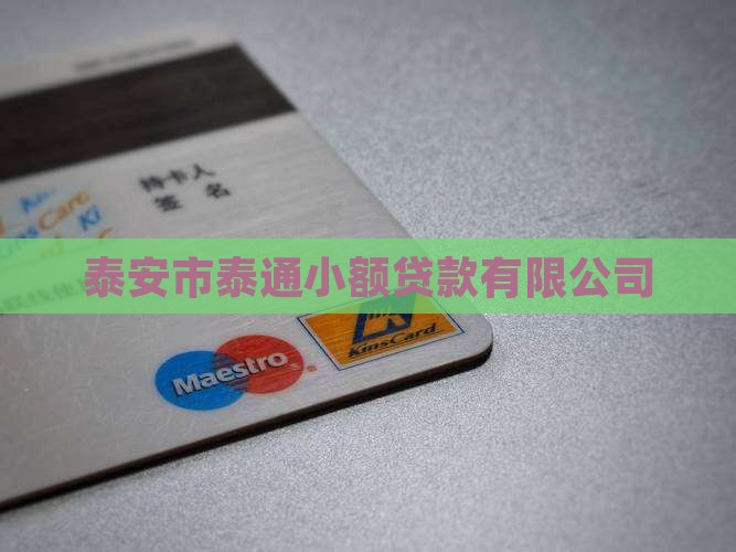 泰安免抵押小额贷款公司