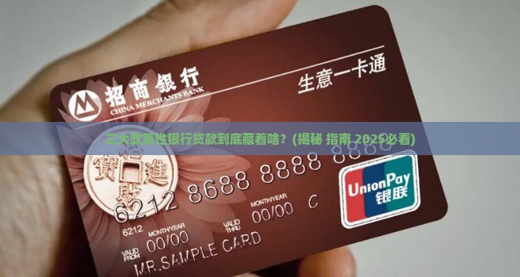 三大政策性银行贷款是指