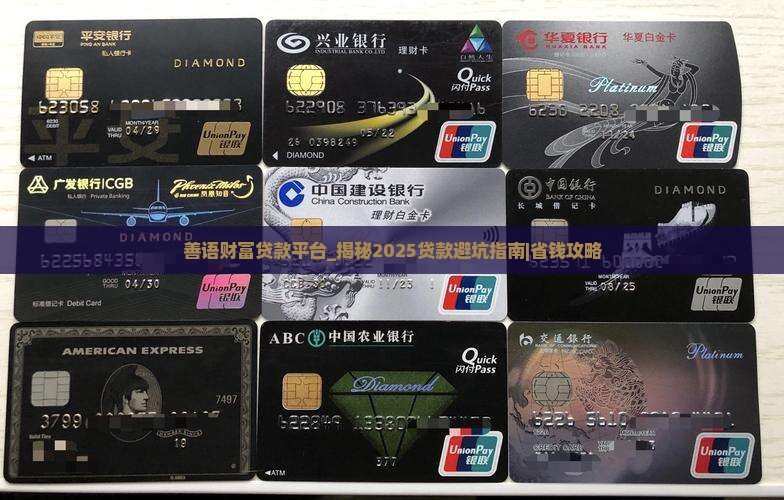 善语财富贷款平台