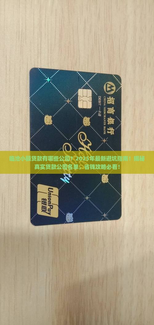 临沧小额贷款有哪些公司