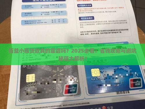 佰益小额贷款