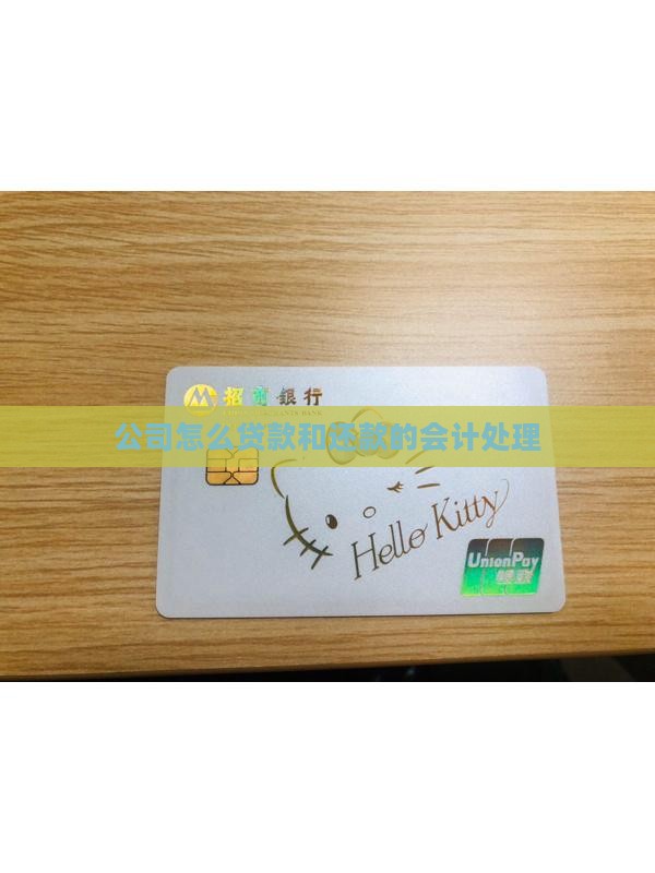 公司有收入支出贷款还款